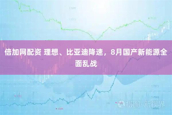 倍加网配资 理想、比亚迪降速，8月国产新能源全面乱战