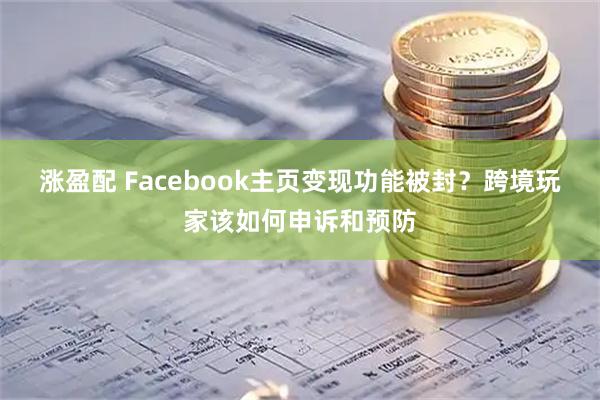 涨盈配 Facebook主页变现功能被封？跨境玩家该如何申诉和预防