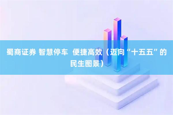 蜀商证券 智慧停车  便捷高效（迈向“十五五”的民生图景）