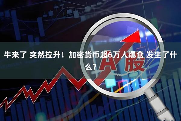 牛来了 突然拉升！加密货币超6万人爆仓 发生了什么？